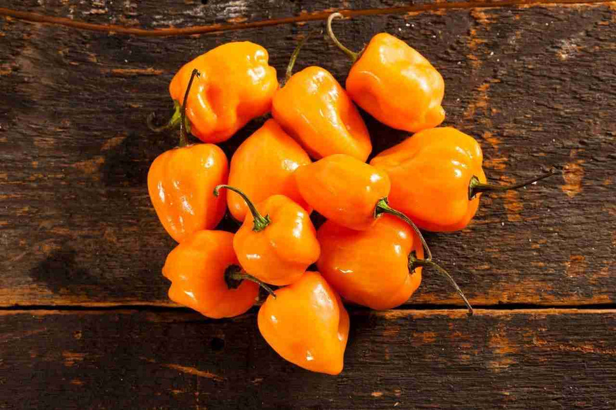 Fresh orange habanero peppers scattered on weathered wooden surface, ready for hot sauce making